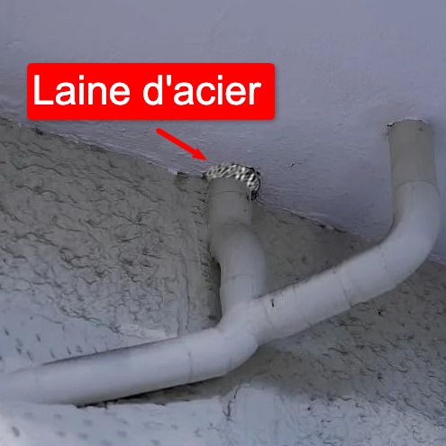 Laine d'acier anti souris