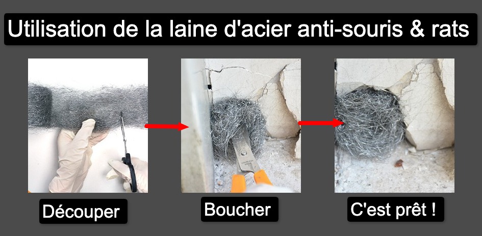 utilisation laine acier contre souris rats